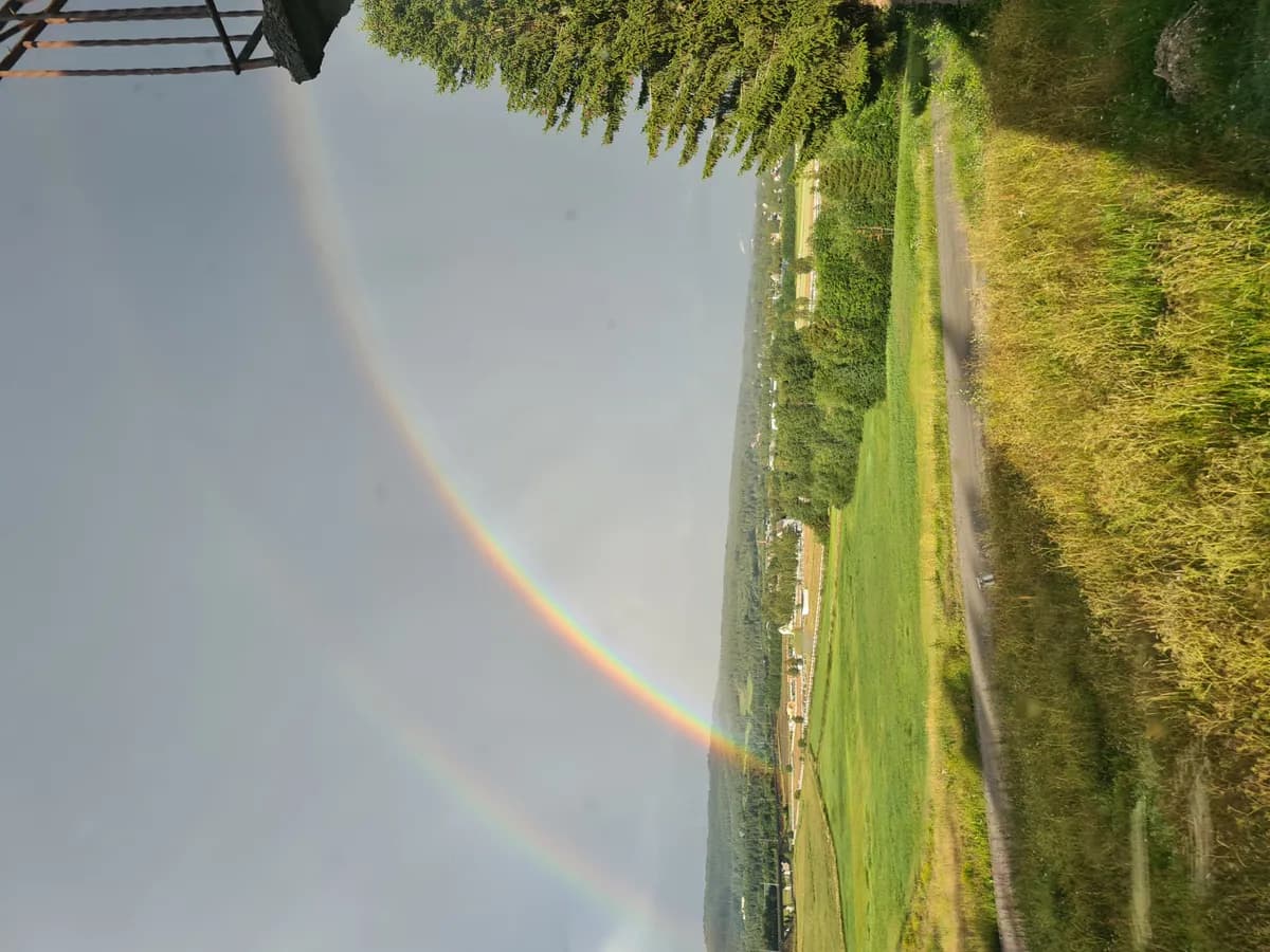 Hyreslägenhet på Domsjö i domsjo