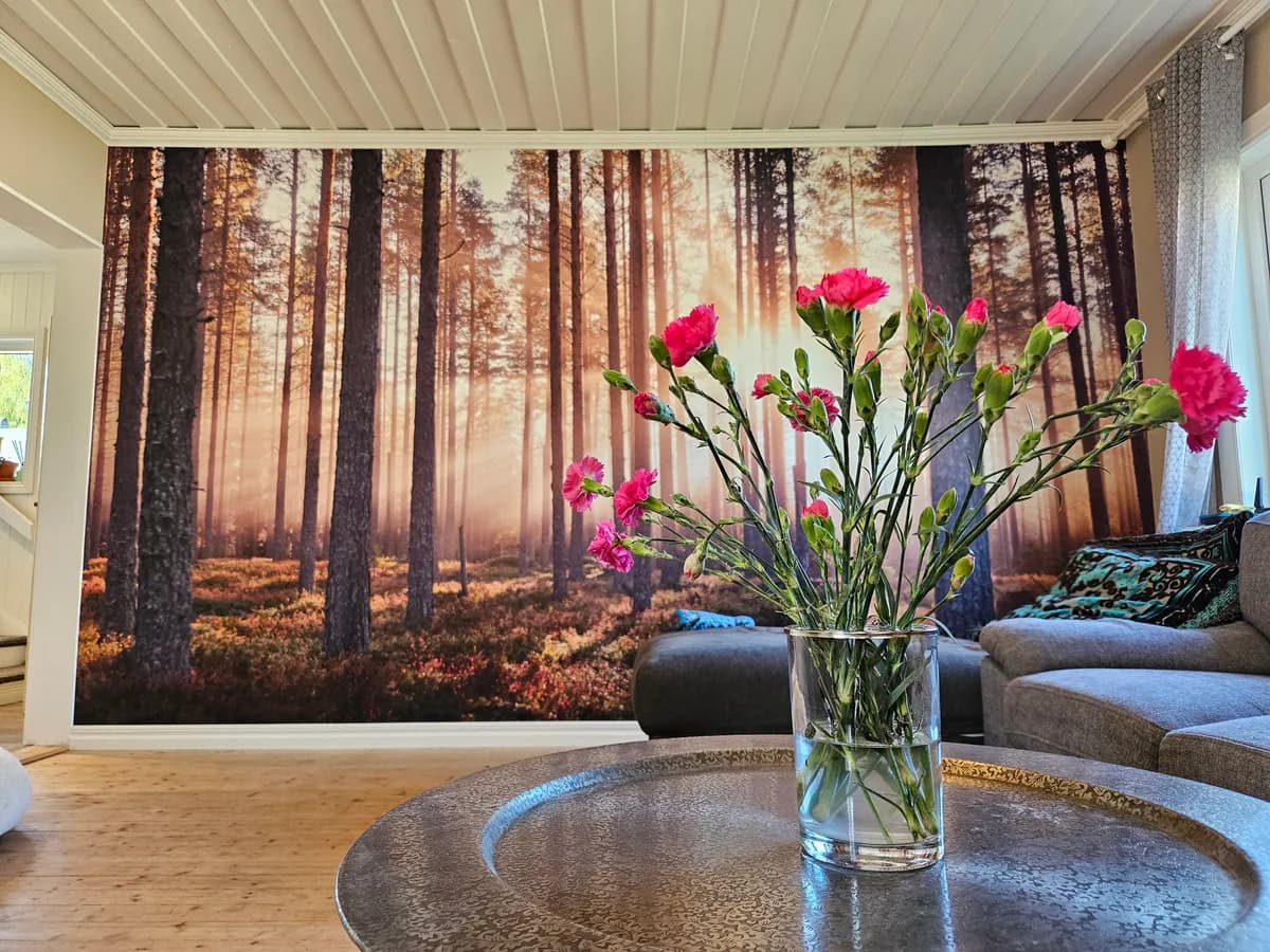 Hyresbostad på Johansgatan i Skellefteå