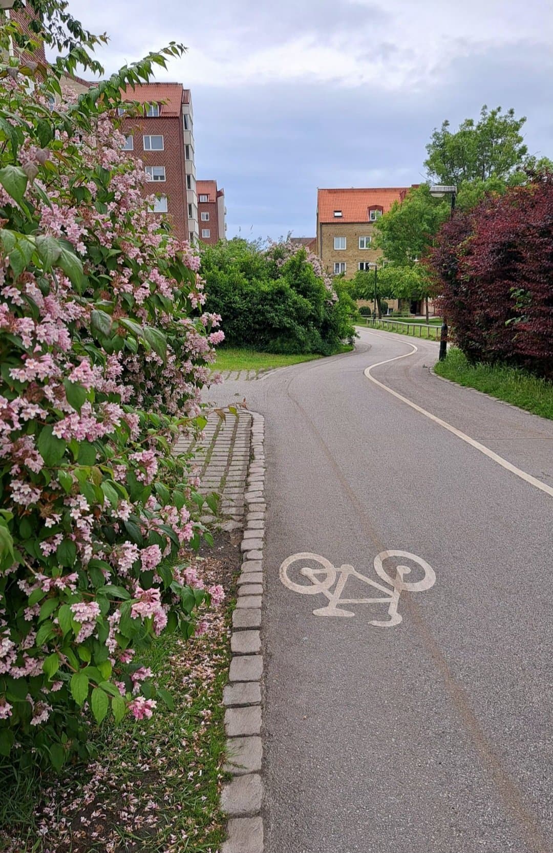 Hyreslägenhet på Malmö i malmo