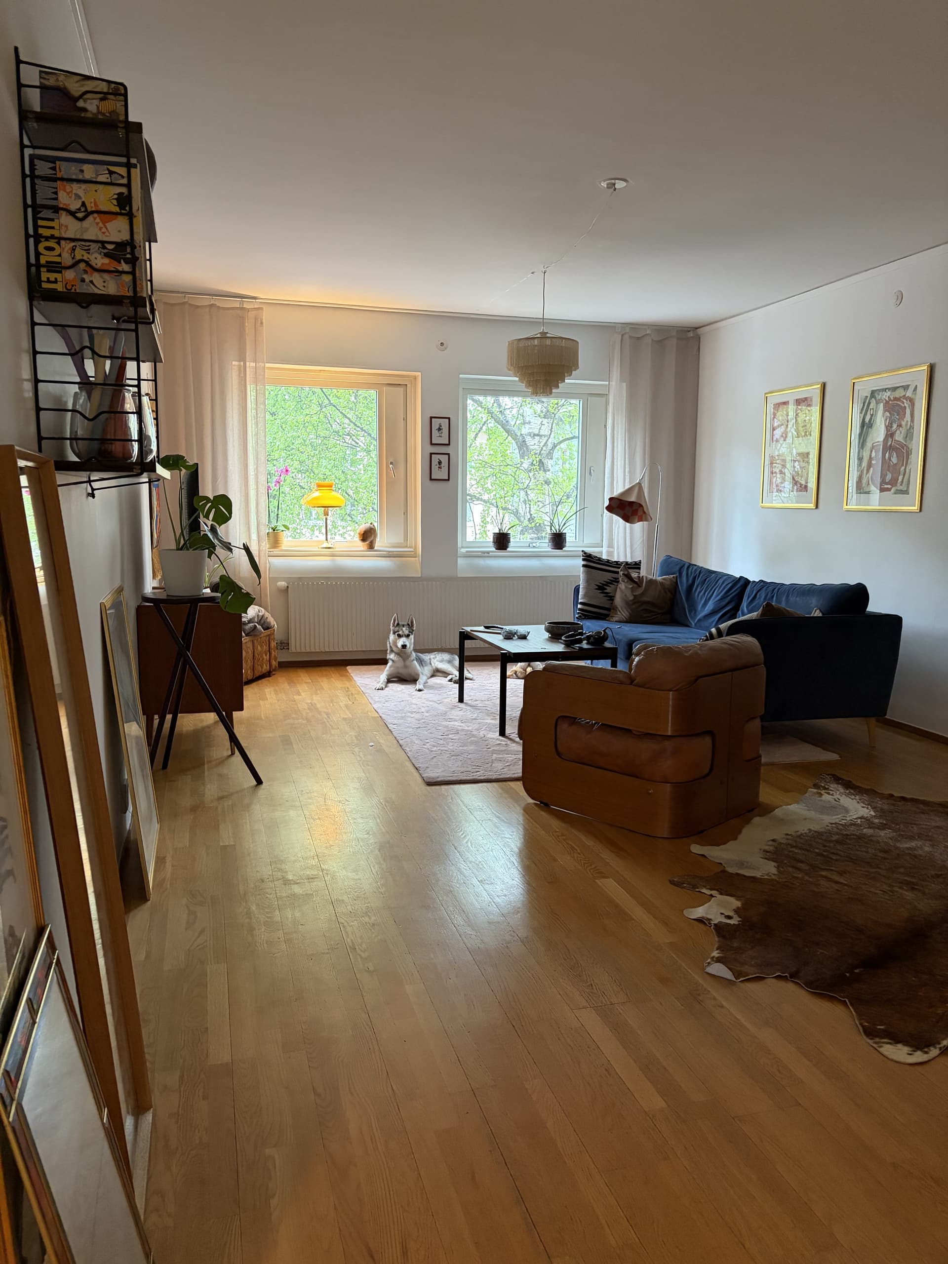 Hyreslägenhet på Umeå i umea
