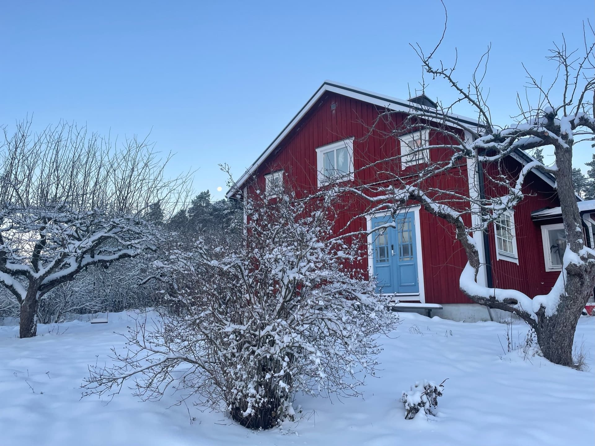 Property image 12