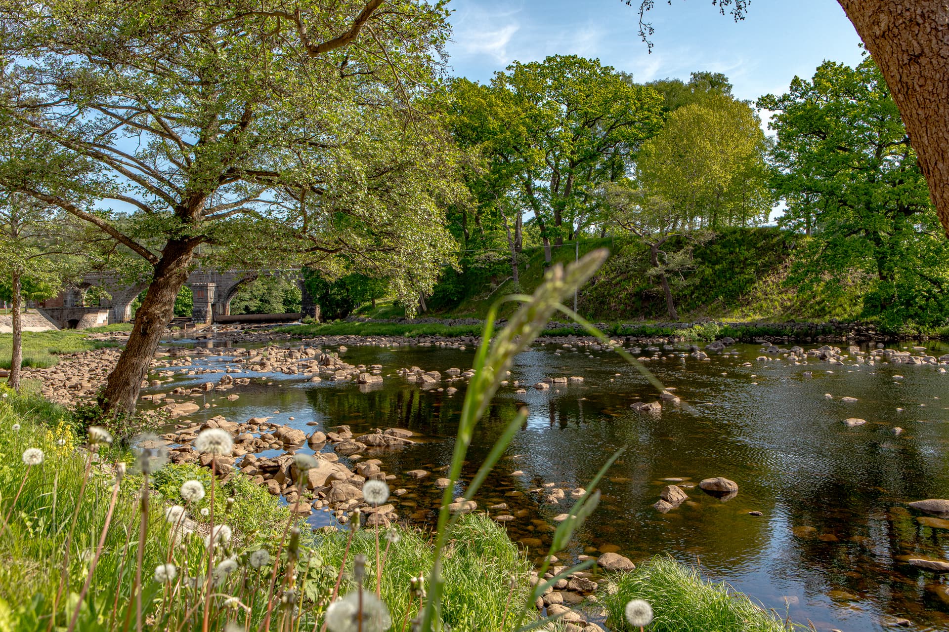 Hyreslägenhet på Halmstad i halmstad