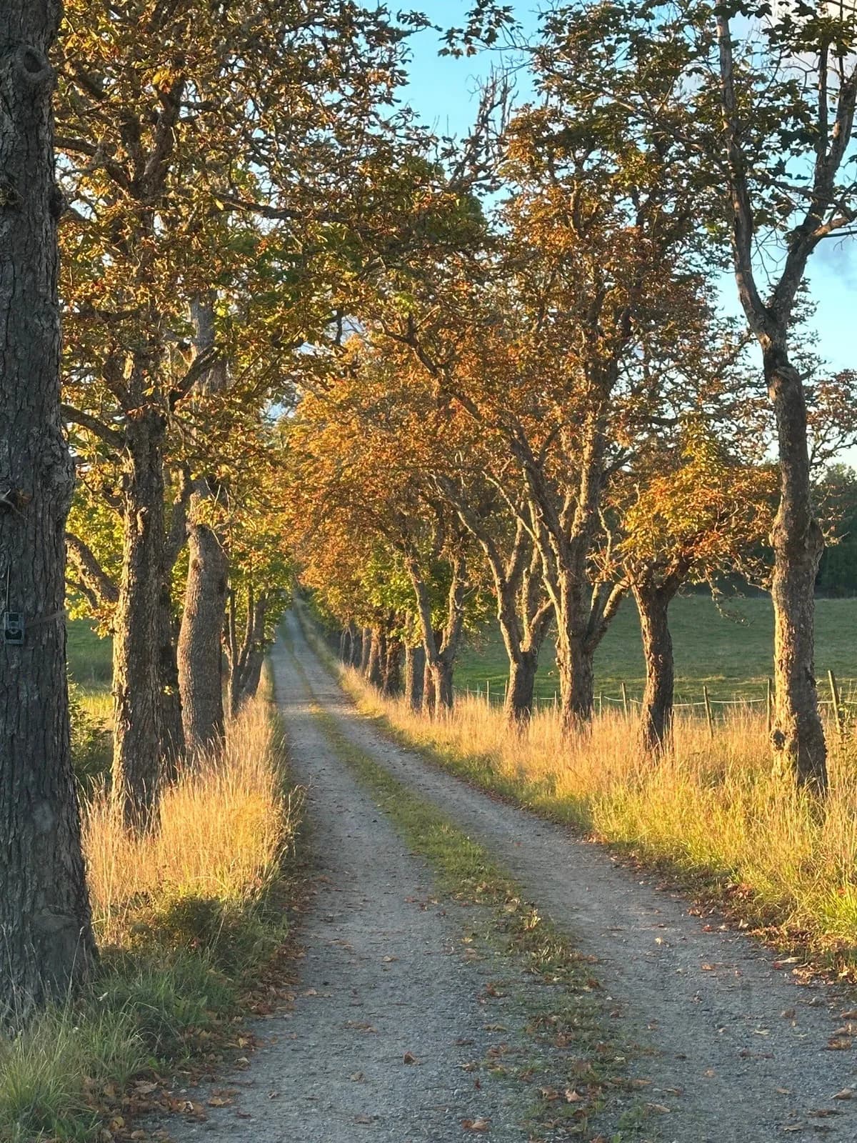Hyresbostad på Flen i flen