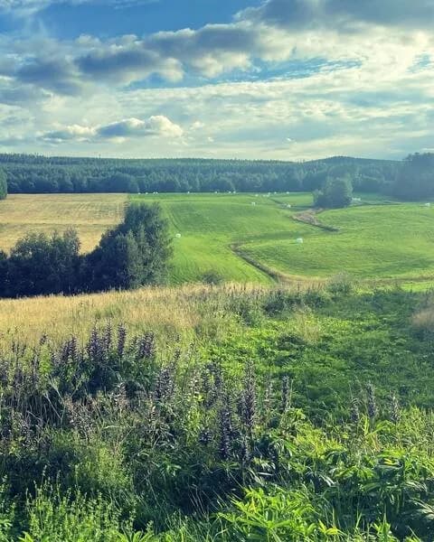 Hyresbostad på Bjuråker i bjuraker