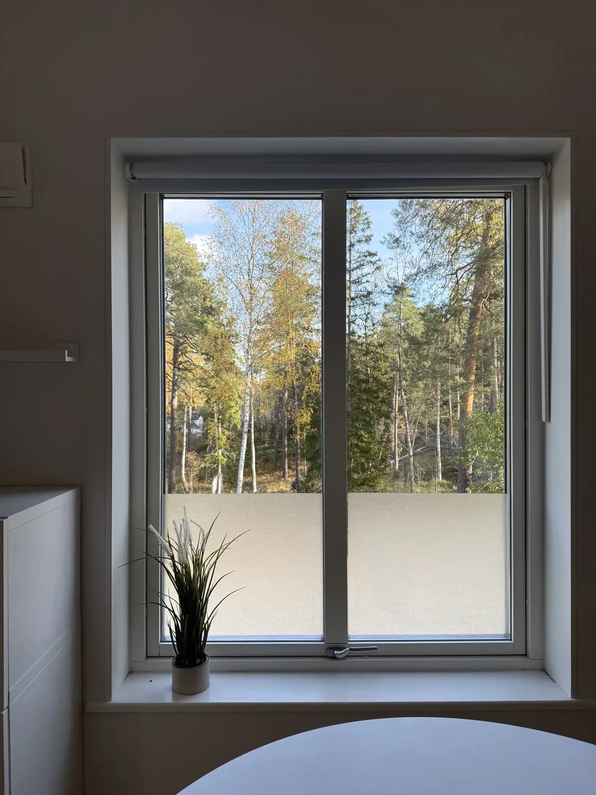 Hyresbostad på Skogås i skogas