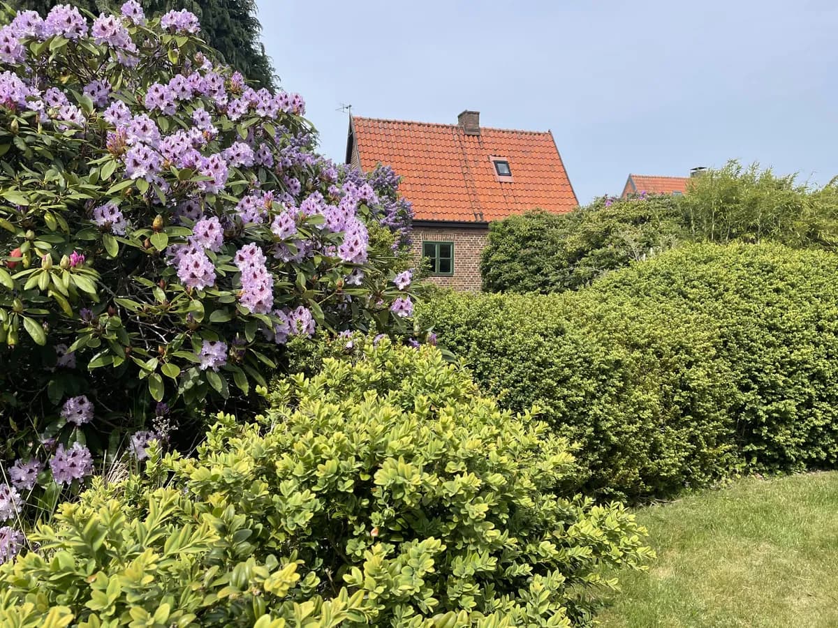 Hus på Kärvegatan i Helsingborg