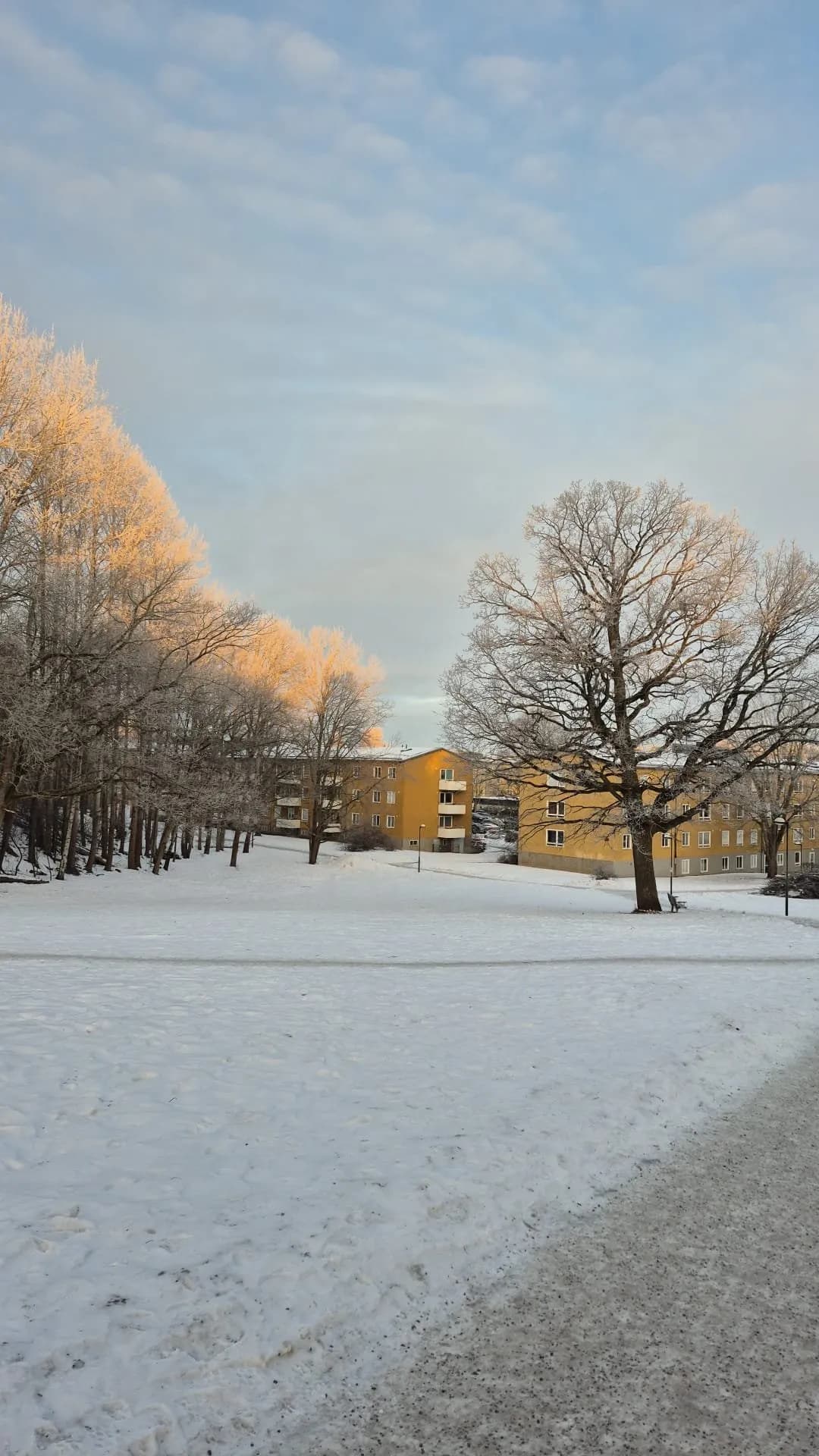 Hyreslägenhet på Skärholmen i skarholmen