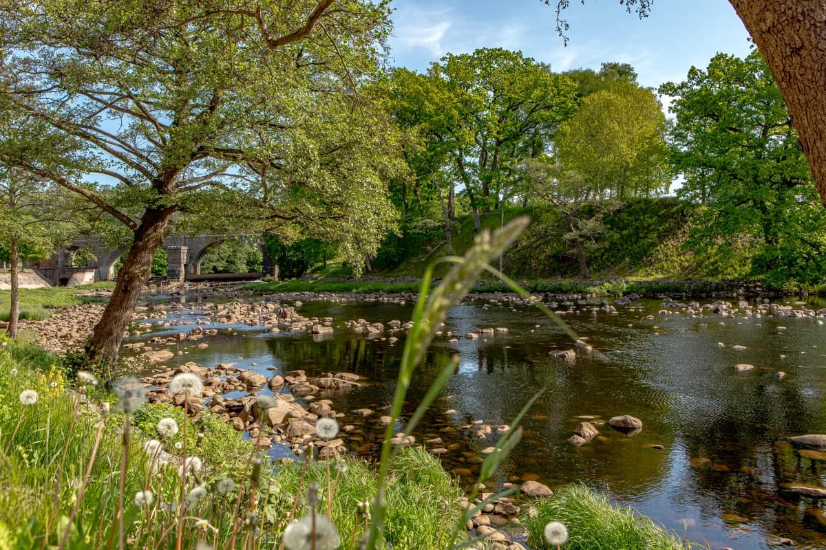 Hyreslägenhet på Halmstad i halmstad