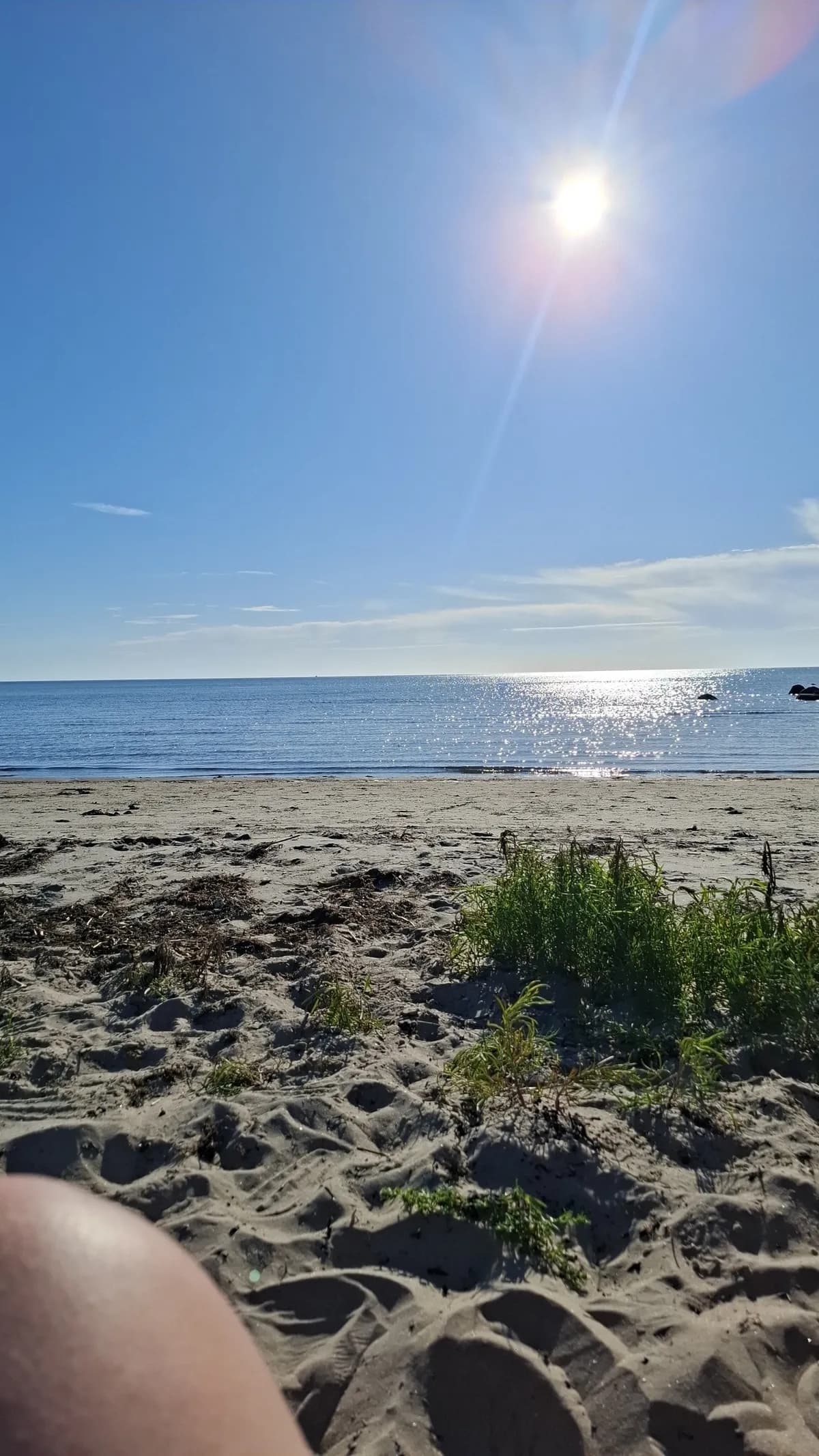 Hyresbostad på Glommen i glommen
