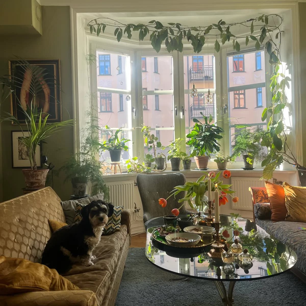 Hyreslägenhet på Malmö i malmo