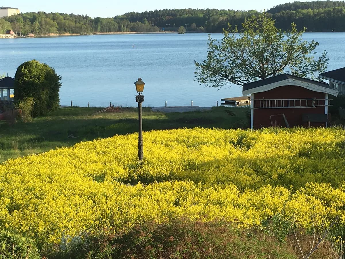 Hyreslägenhet på Älta i alta