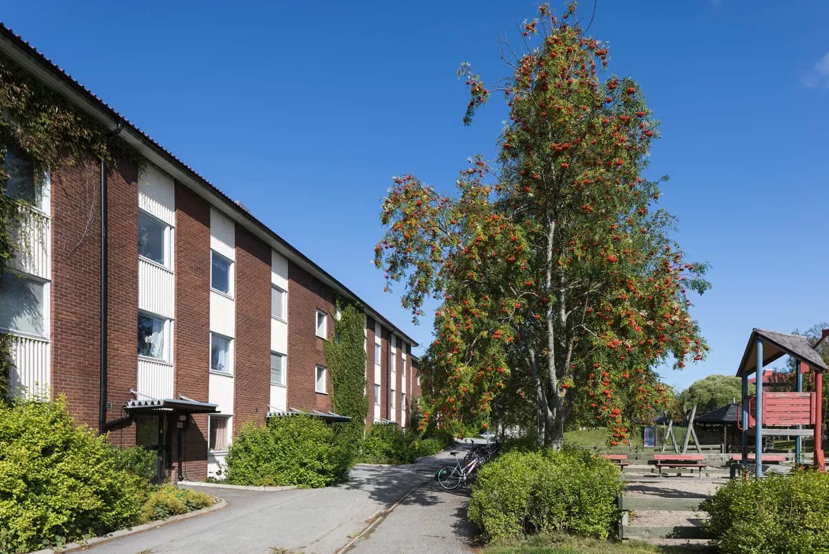 Hyreslägenhet på Umeå i umea