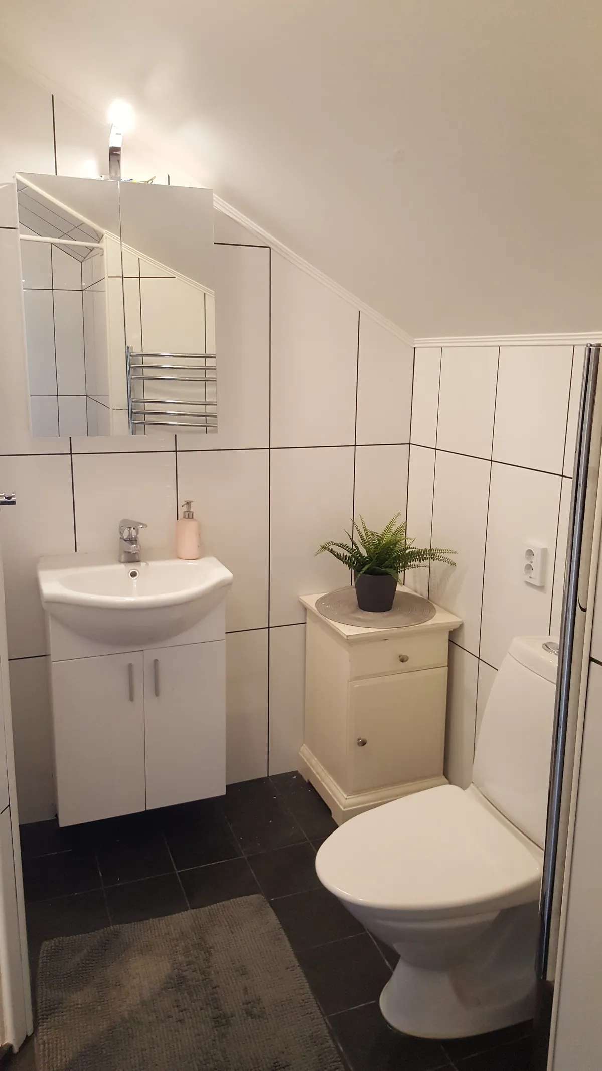 Hyreslägenhet på Hasslarp i hasslarp