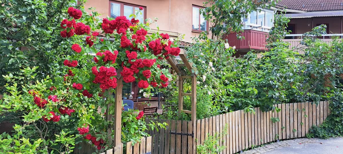 Radhus på Skvadronsbacken i Sundbyberg