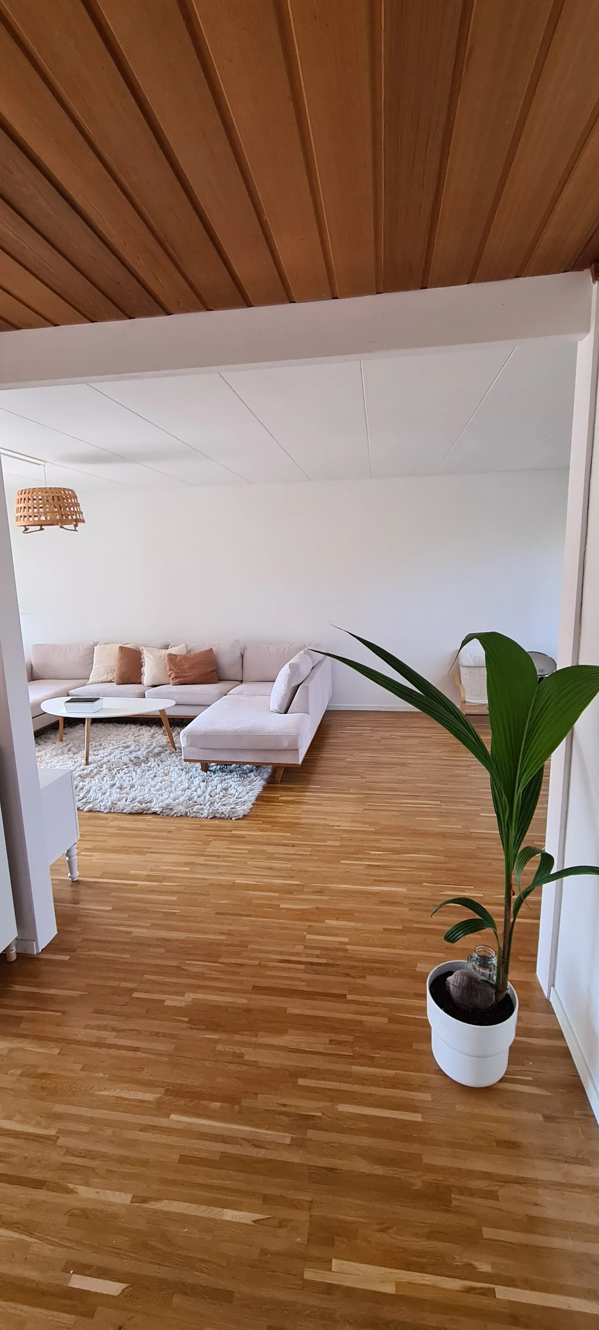 Hus på Piteågatan i Helsingborg