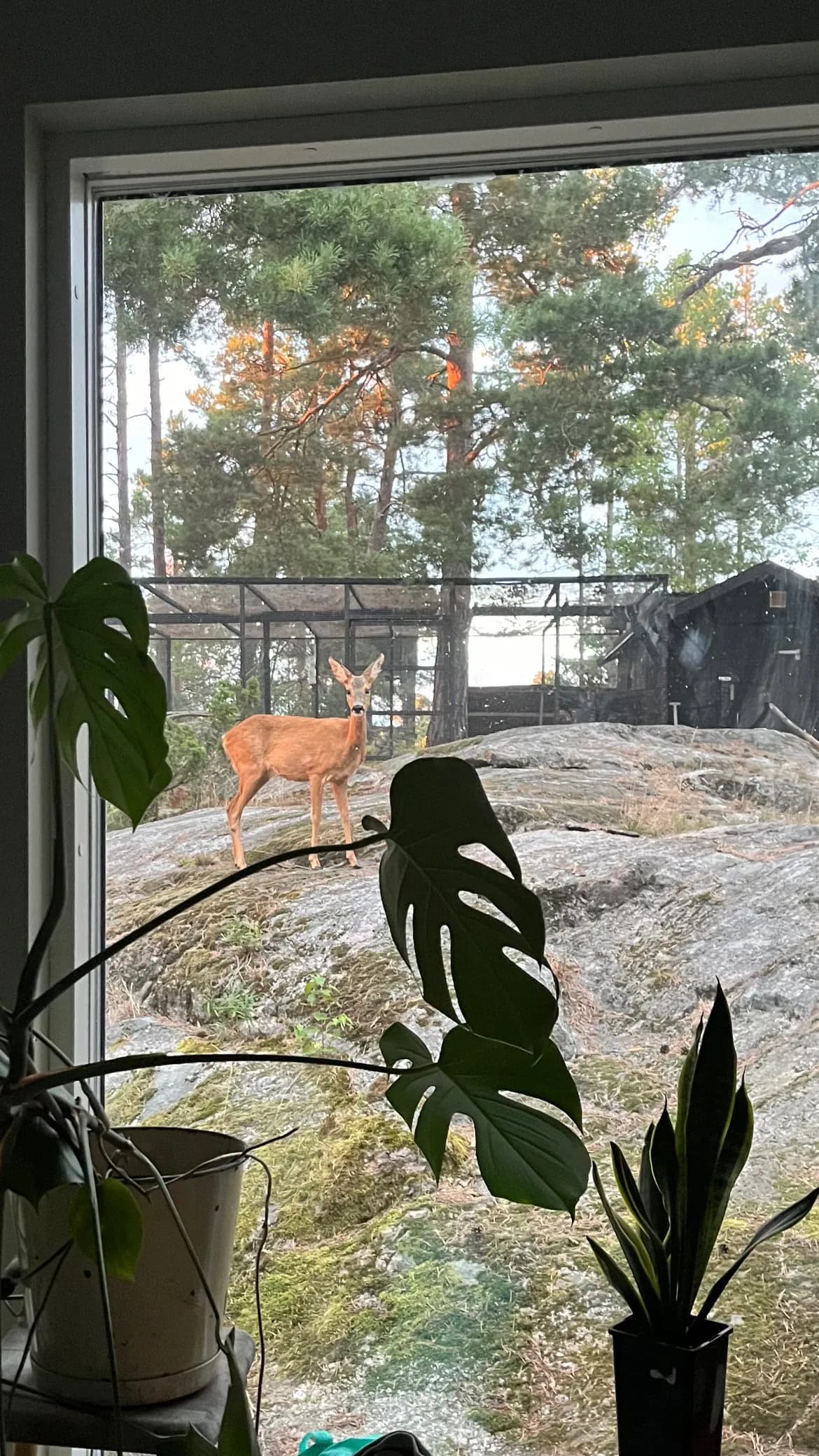 Hyresbostad på Värmdö i varmdo