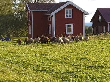 Hyresbostad på Ås i as