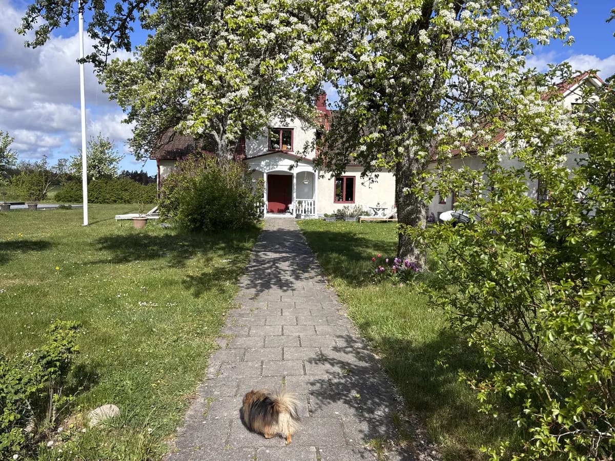 Property image 13