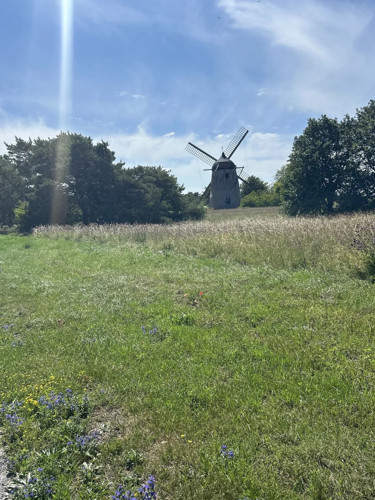 Hyreslägenhet på Visby i visby