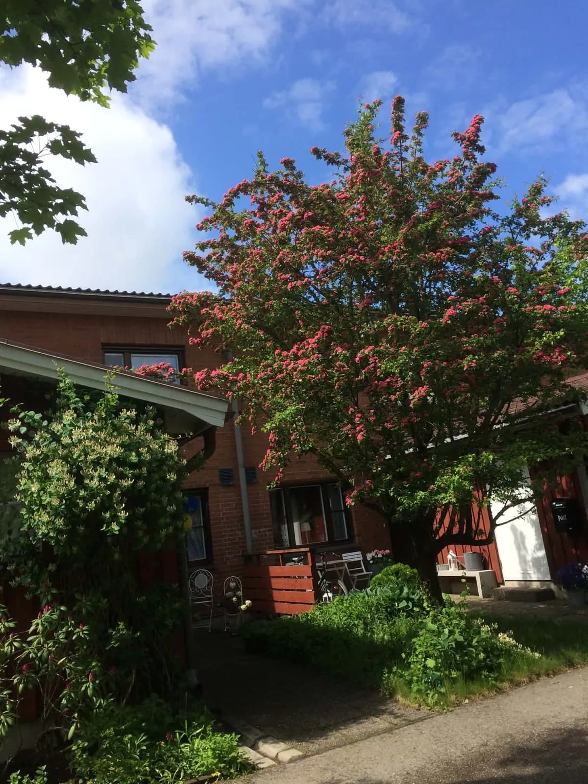 Radhus på Svartbäcksgatan i Uppsala