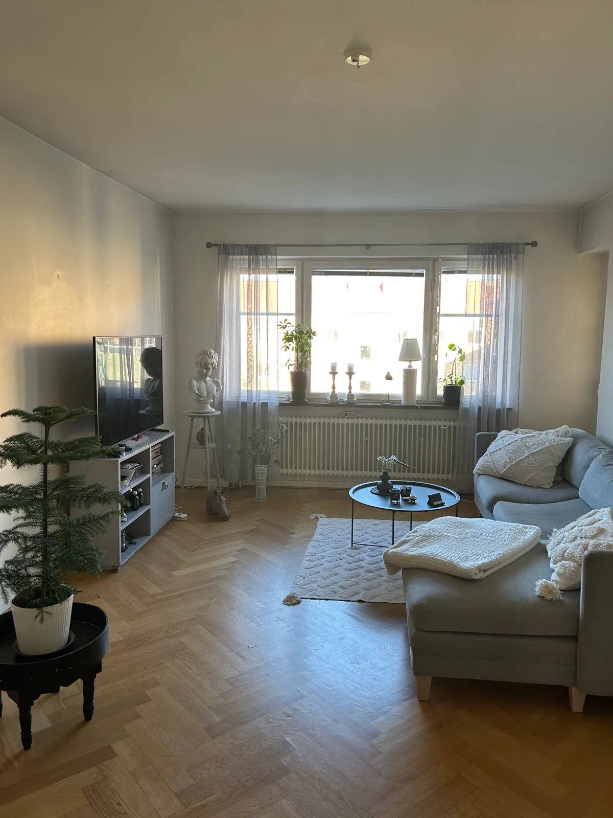 Hyreslägenhet på Limhamn i limhamn