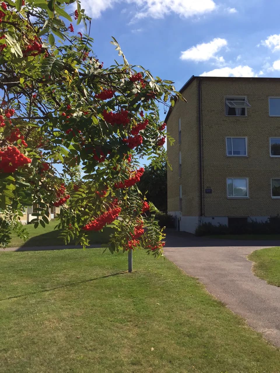 Hyreslägenhet på Kalmar i kalmar
